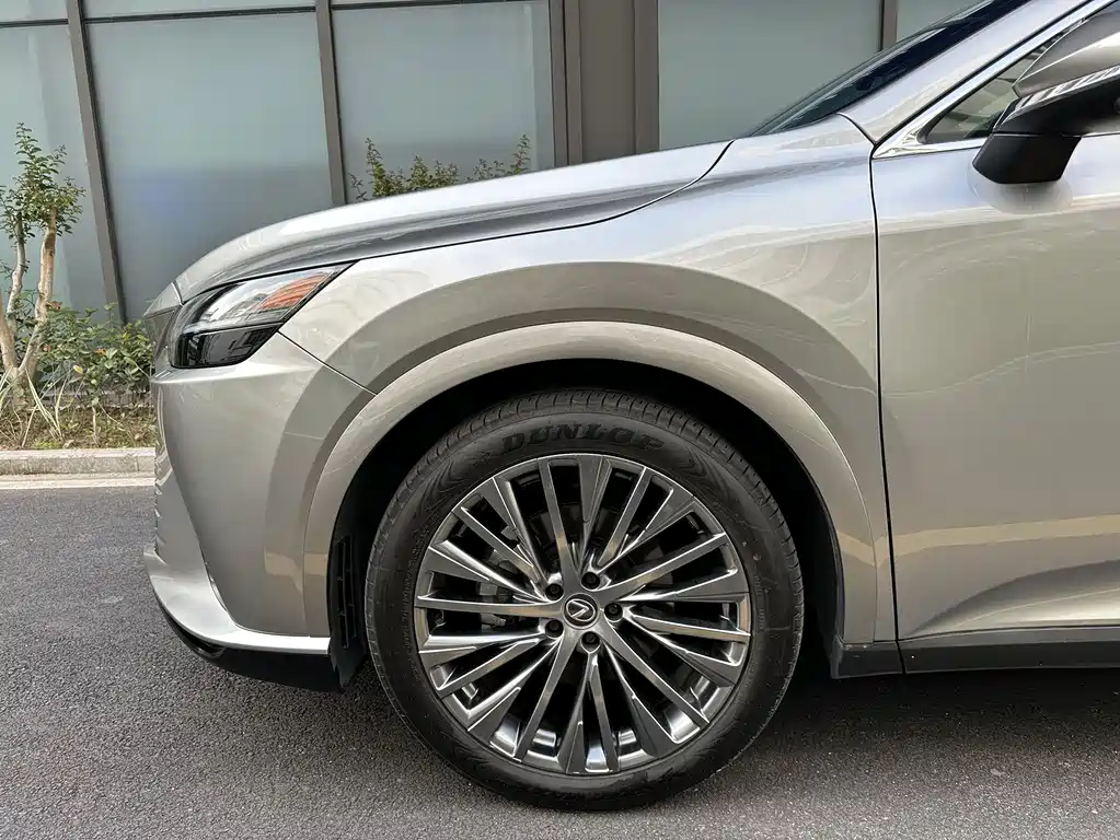Lexus RX — фото 16