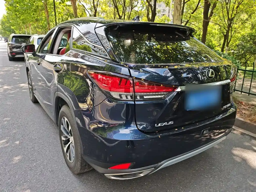 Lexus RX — фото 5
