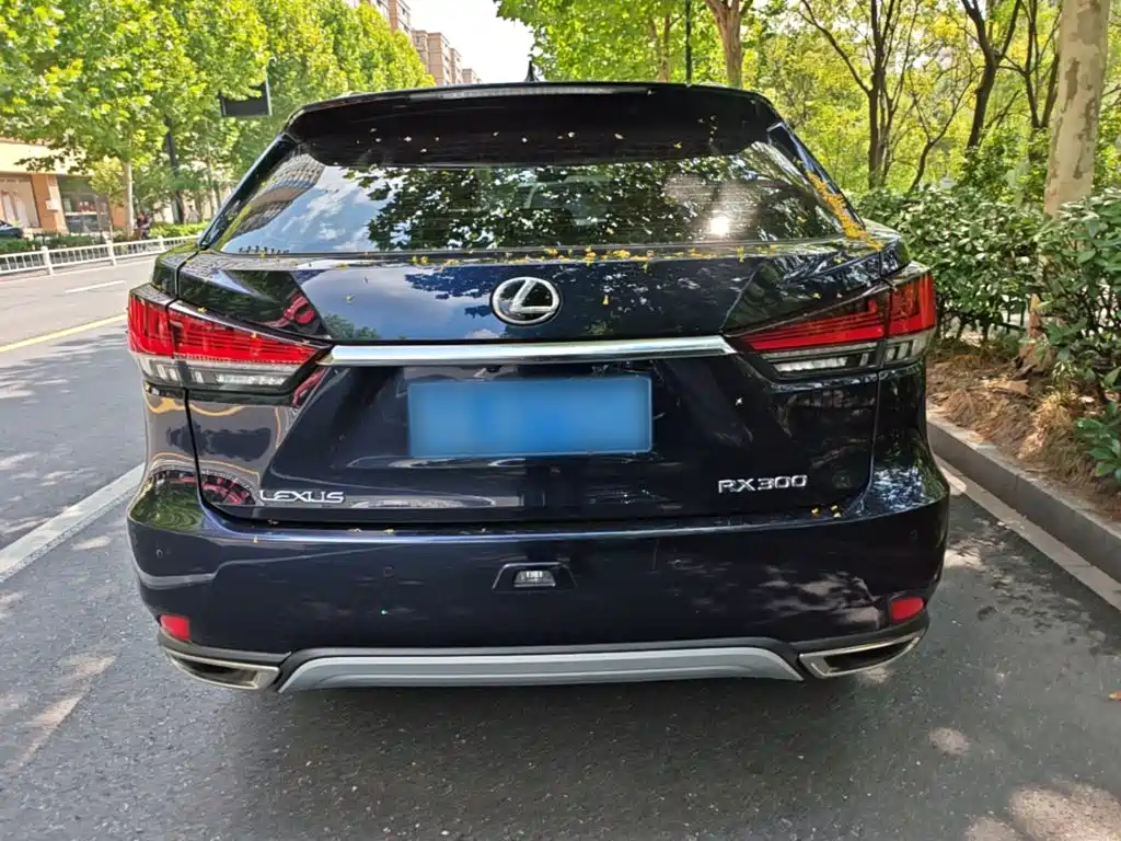 Lexus RX — фото 6