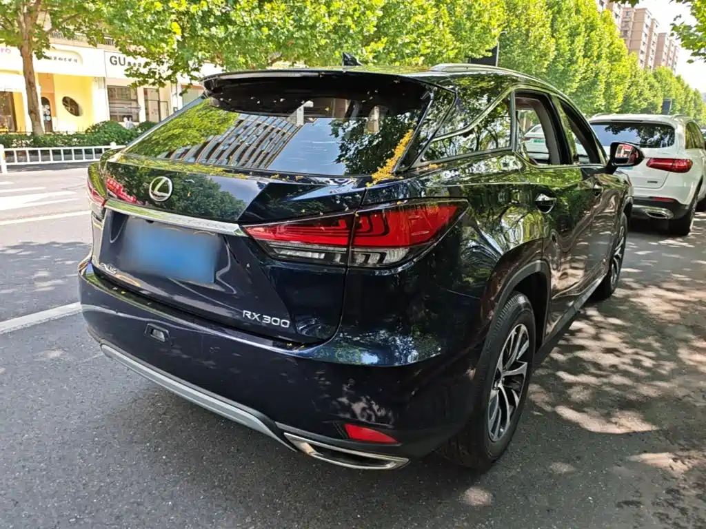 Lexus RX — фото 7