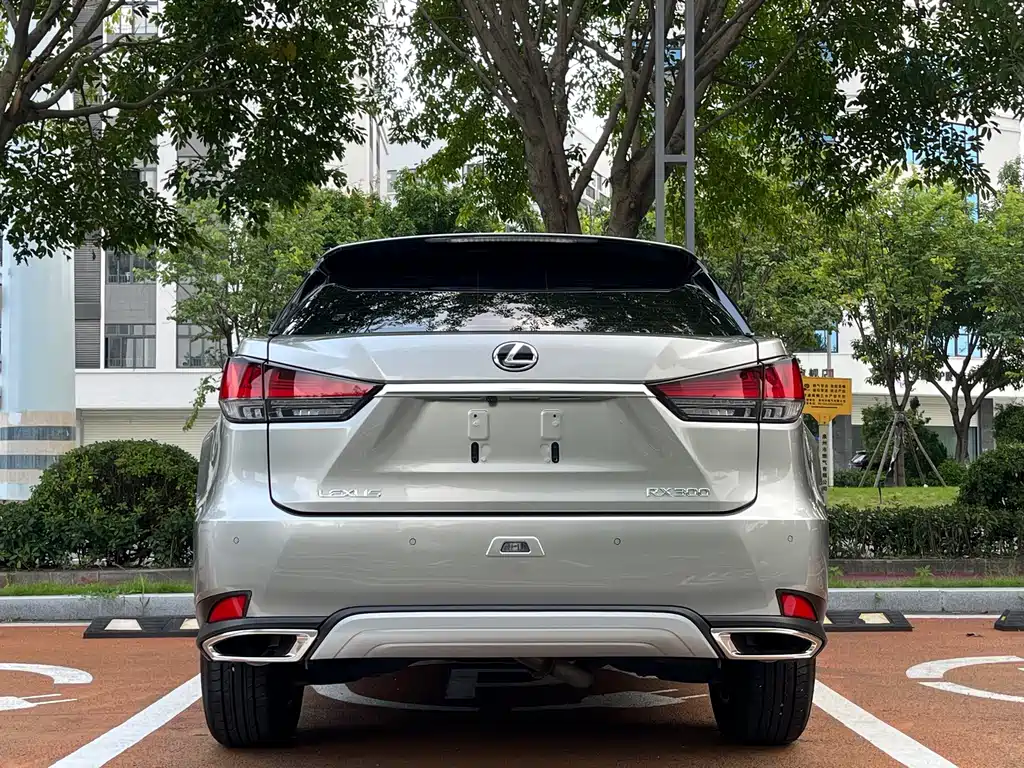 Lexus RX — фото 8