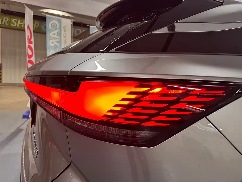 Lexus RX New Energy — фото 17