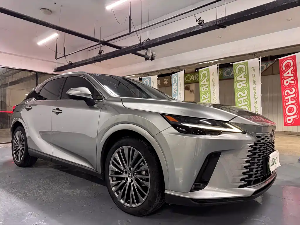 Lexus RX New Energy — фото 3