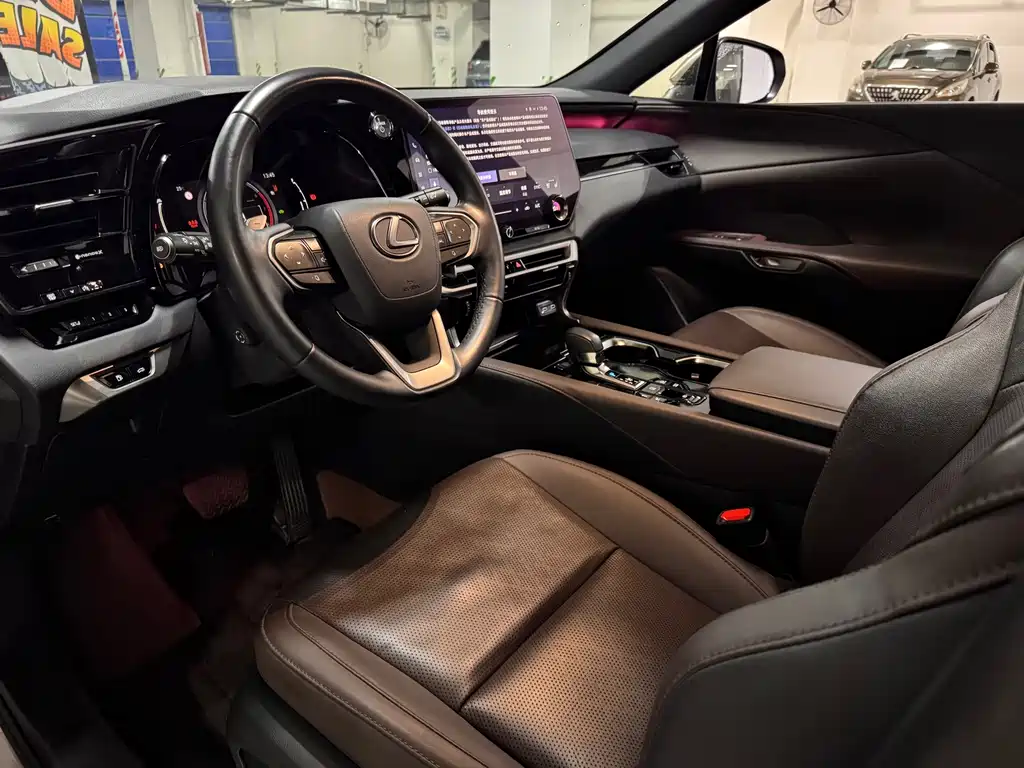 Lexus RX New Energy — фото 7