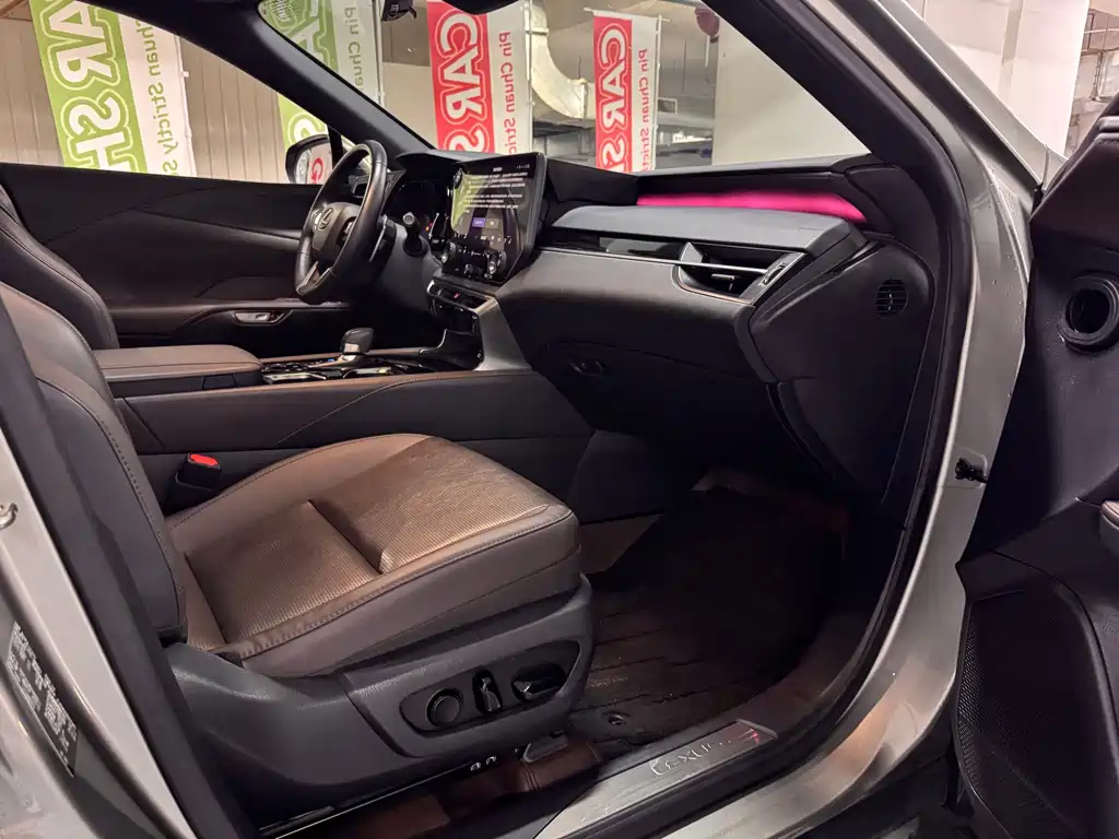 Lexus RX New Energy — фото 10