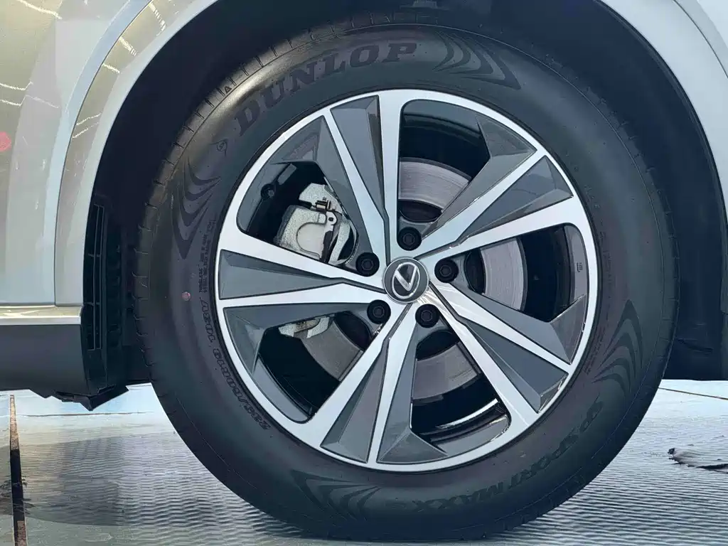 Lexus RX — фото 14