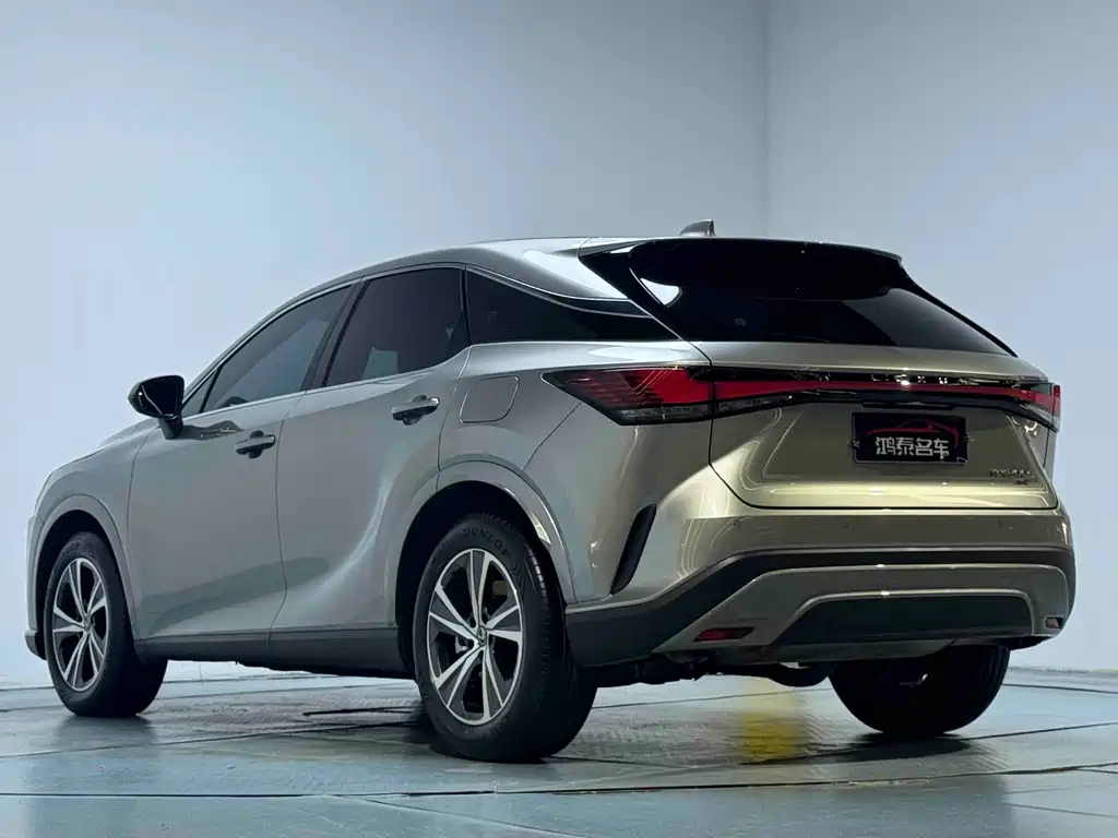 Lexus RX — фото 15