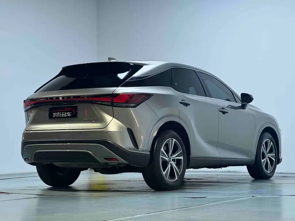 Lexus RX — фото 17