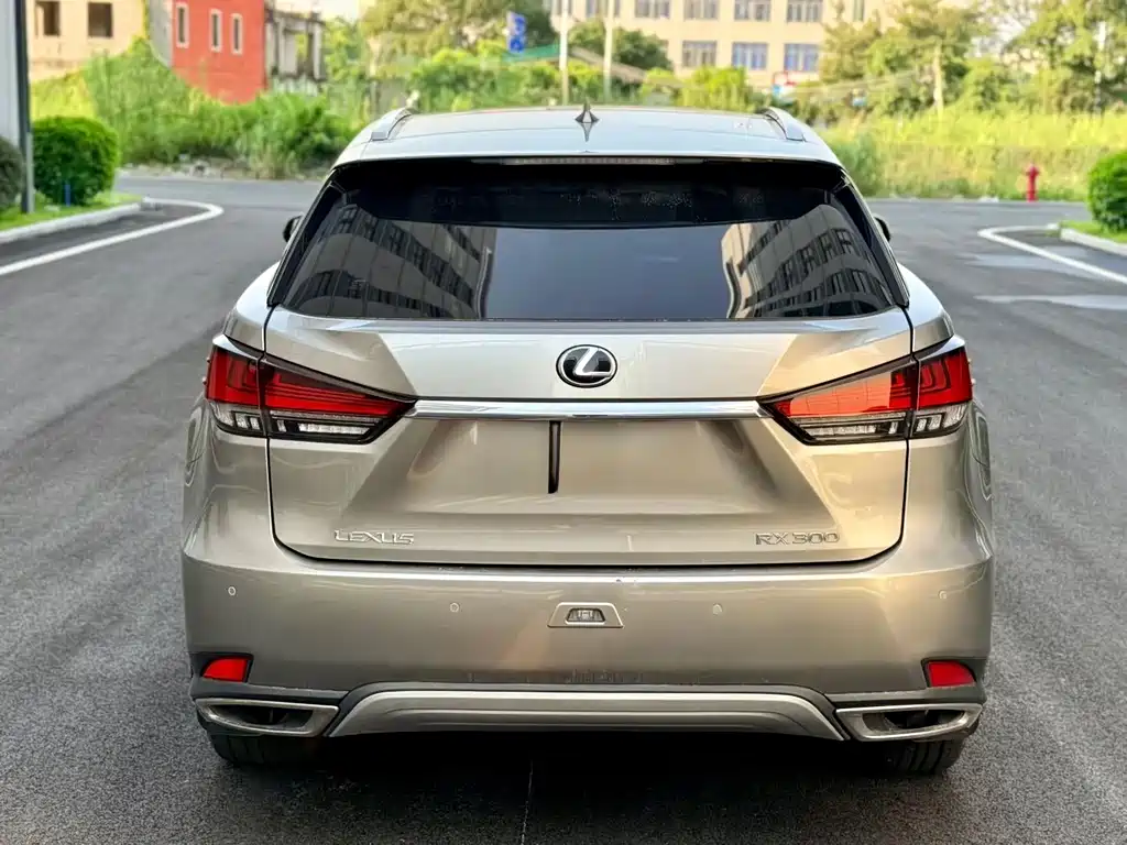 Lexus RX — фото 9