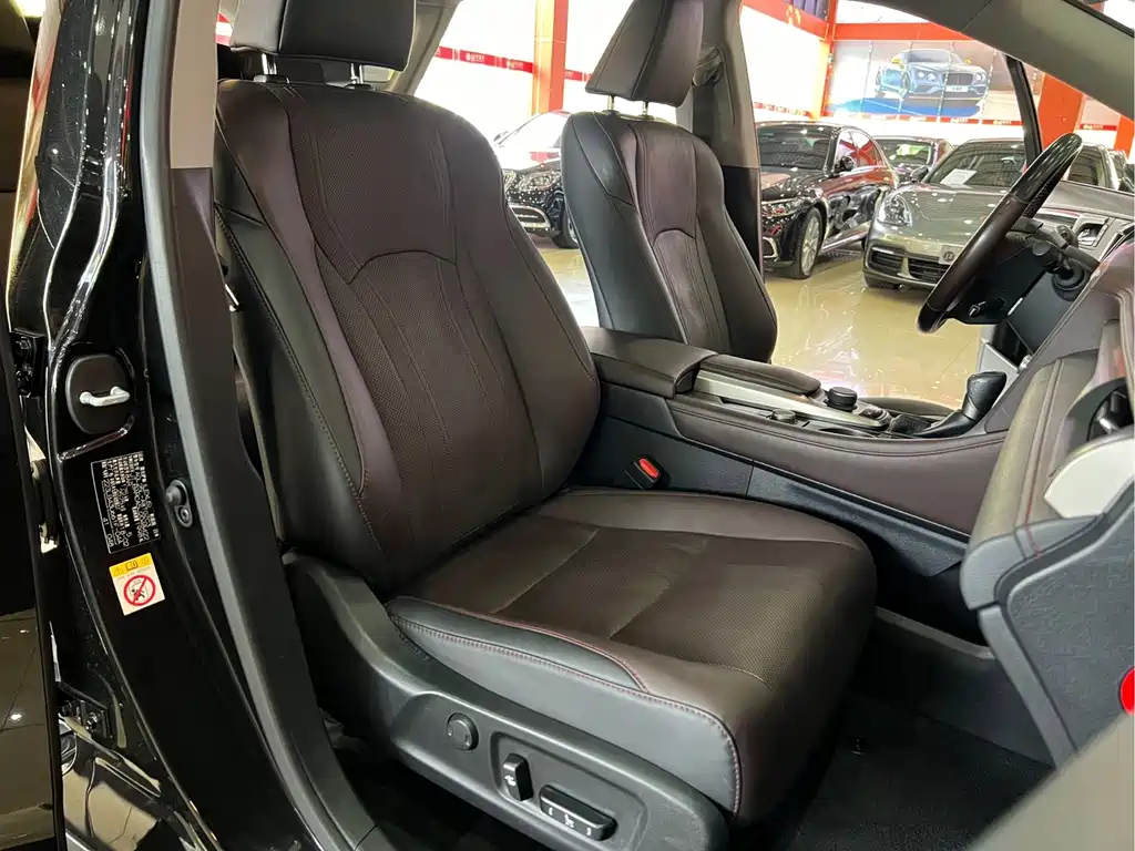 Lexus RX — фото 13