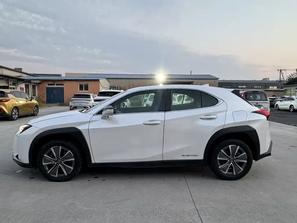 Lexus UX New Energy — фото 5