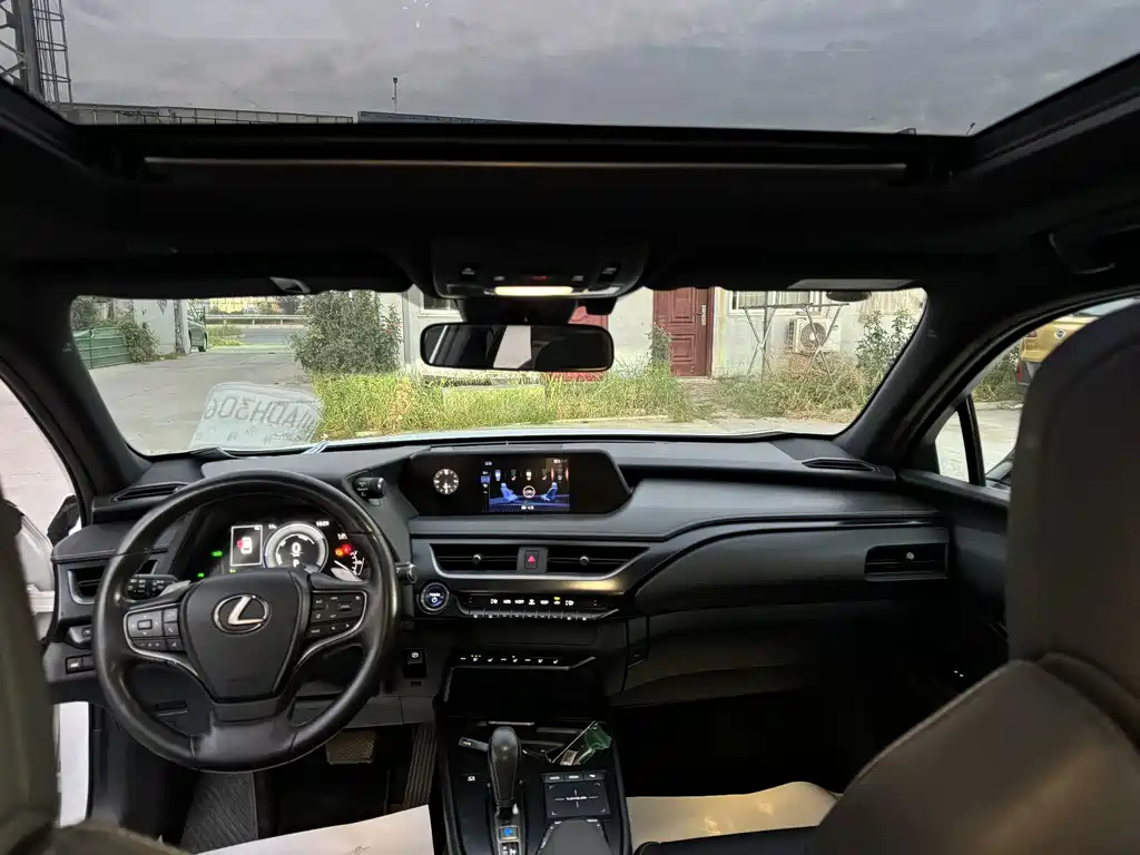 Lexus UX New Energy — фото 8