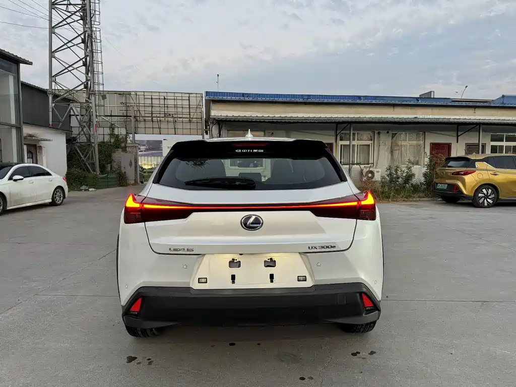Lexus UX New Energy — фото 10