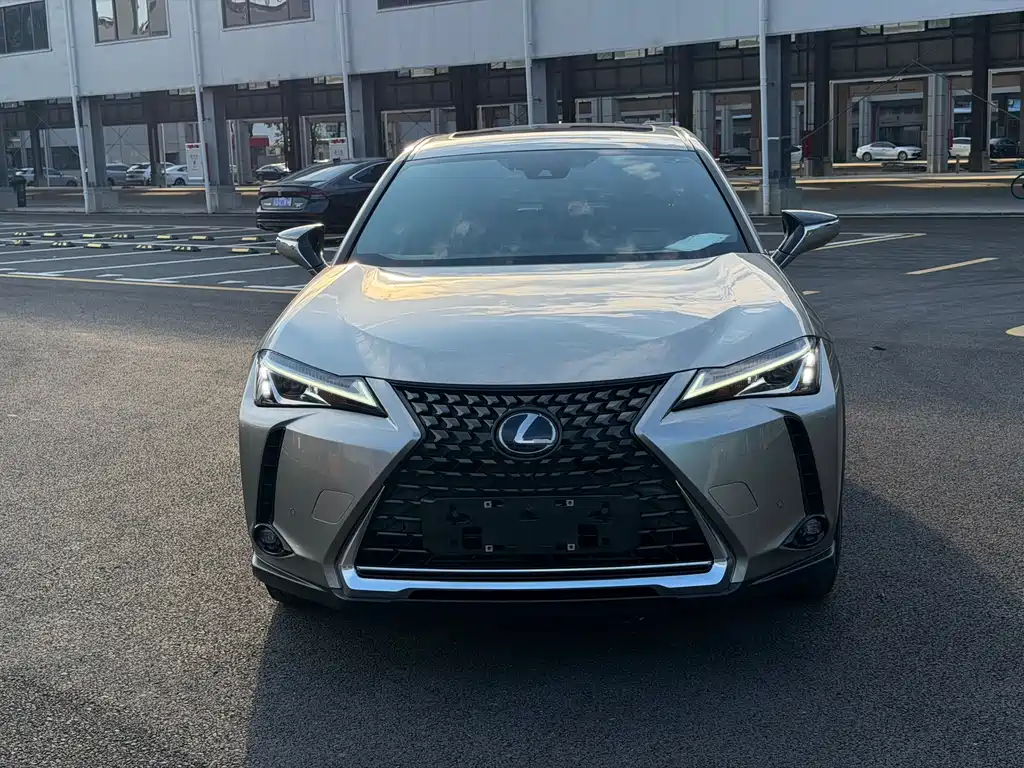 Lexus UX New Energy — фото 2