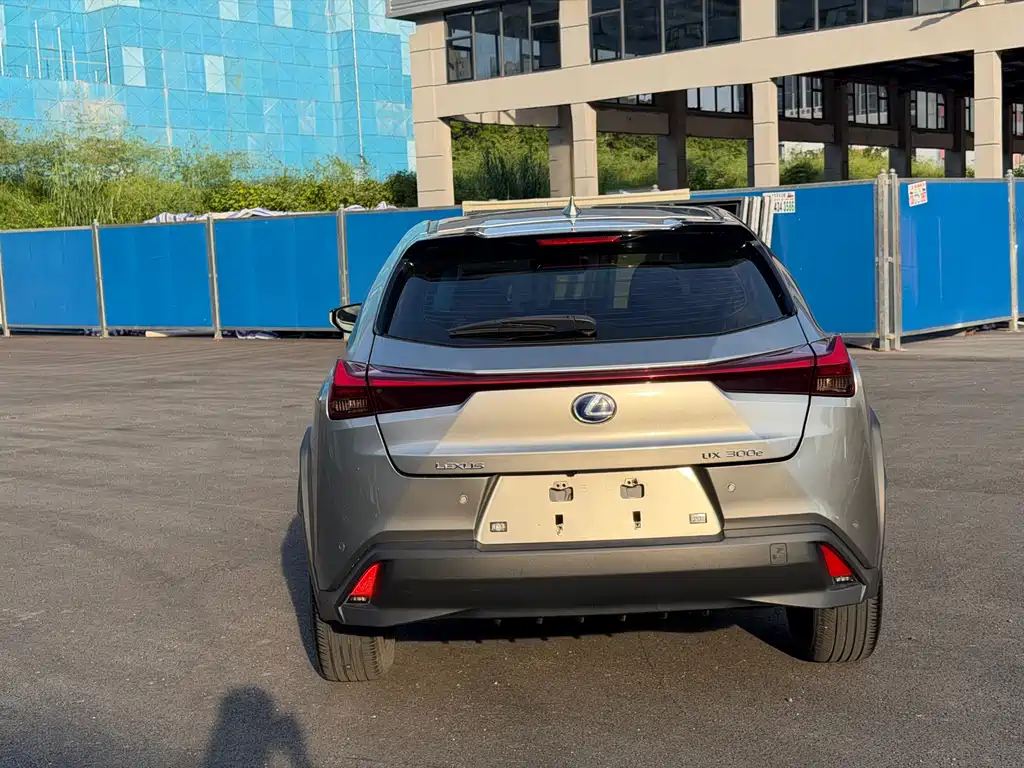 Lexus UX New Energy — фото 11