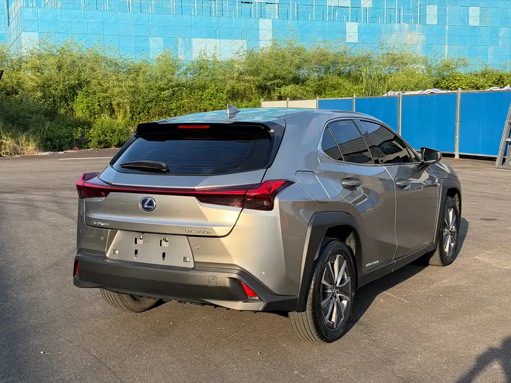 Lexus UX New Energy — фото 13