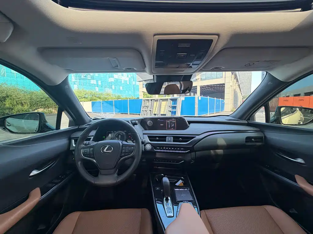 Lexus UX New Energy — фото 6