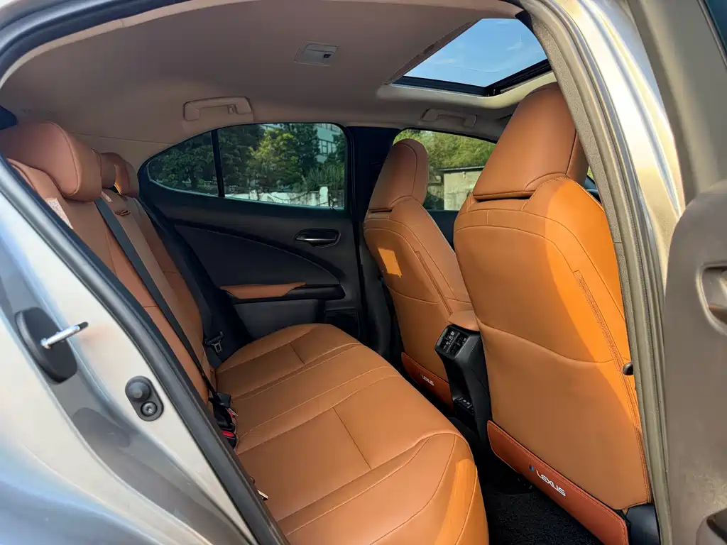 Lexus UX New Energy — фото 9