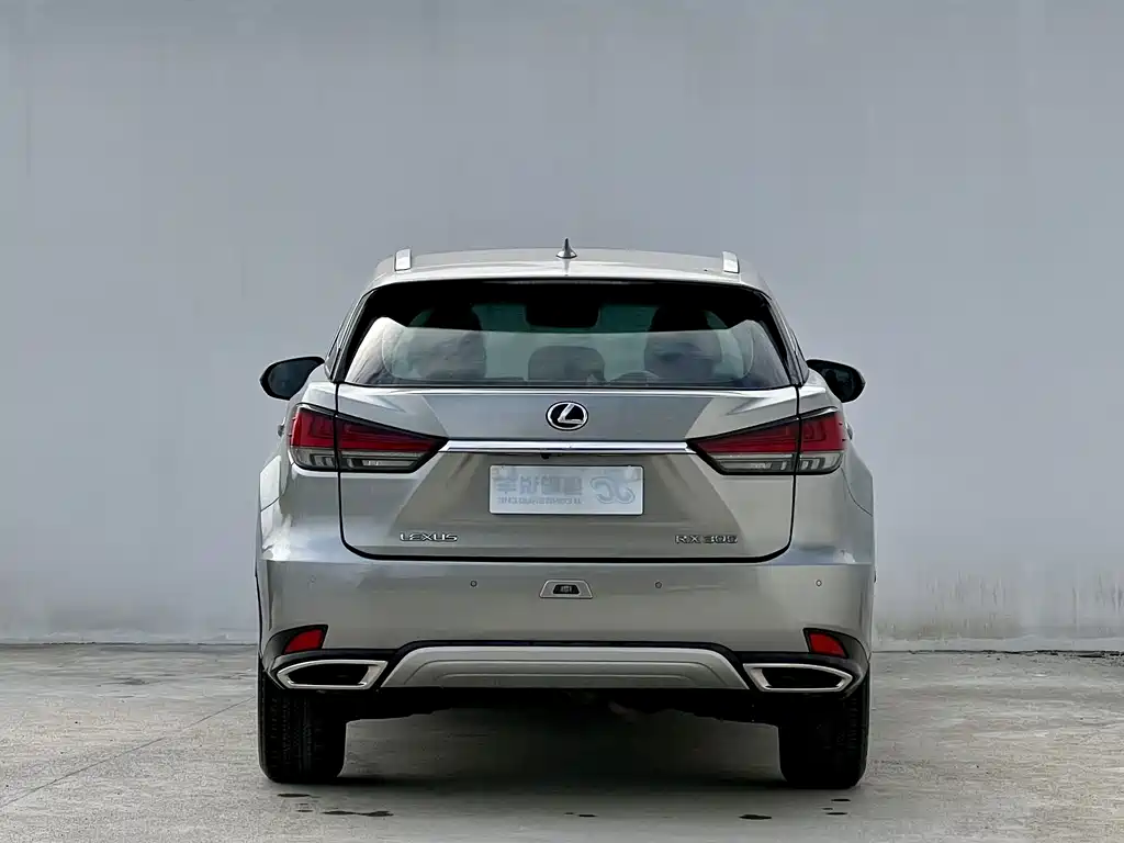 Lexus RX — фото 7