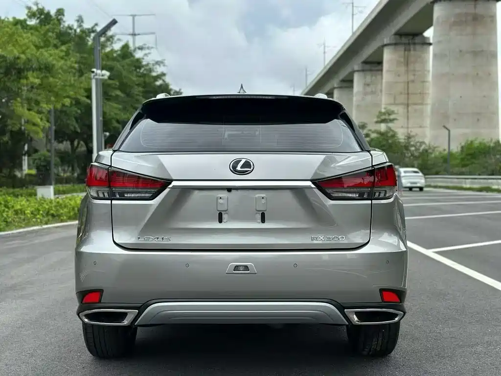 Lexus RX — фото 9