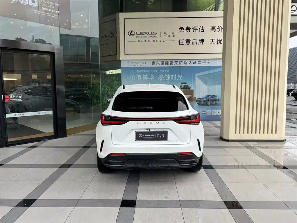 Lexus NX New Energy — фото 2