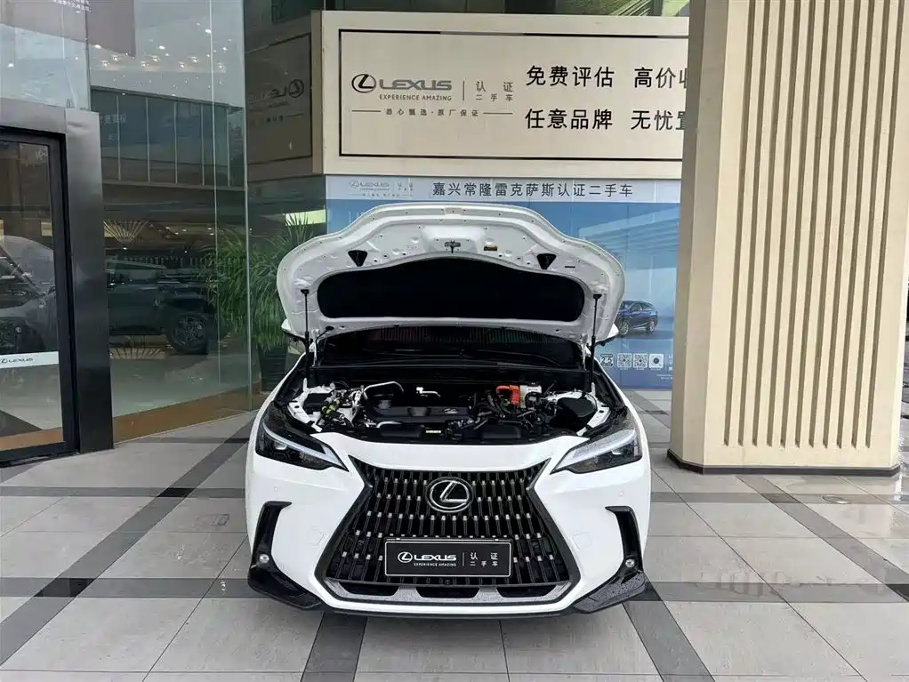 Lexus NX New Energy — фото 3