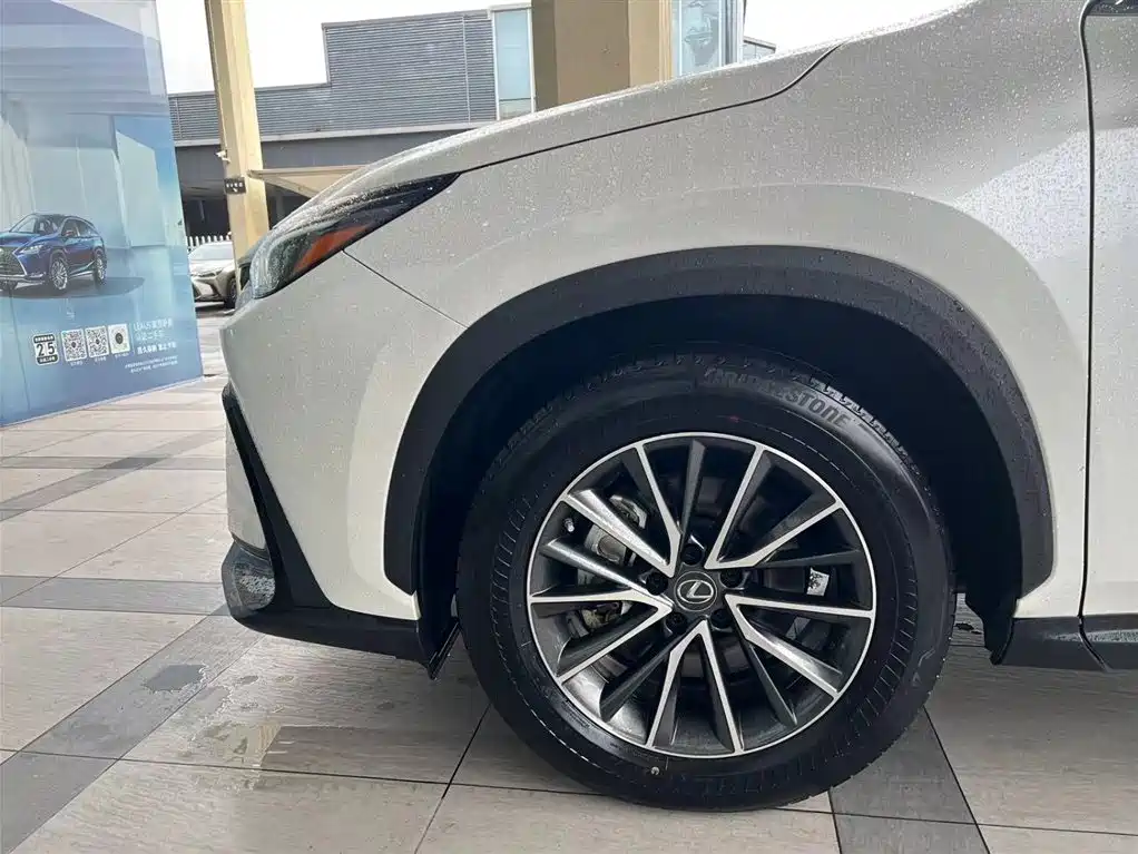 Lexus NX New Energy — фото 4