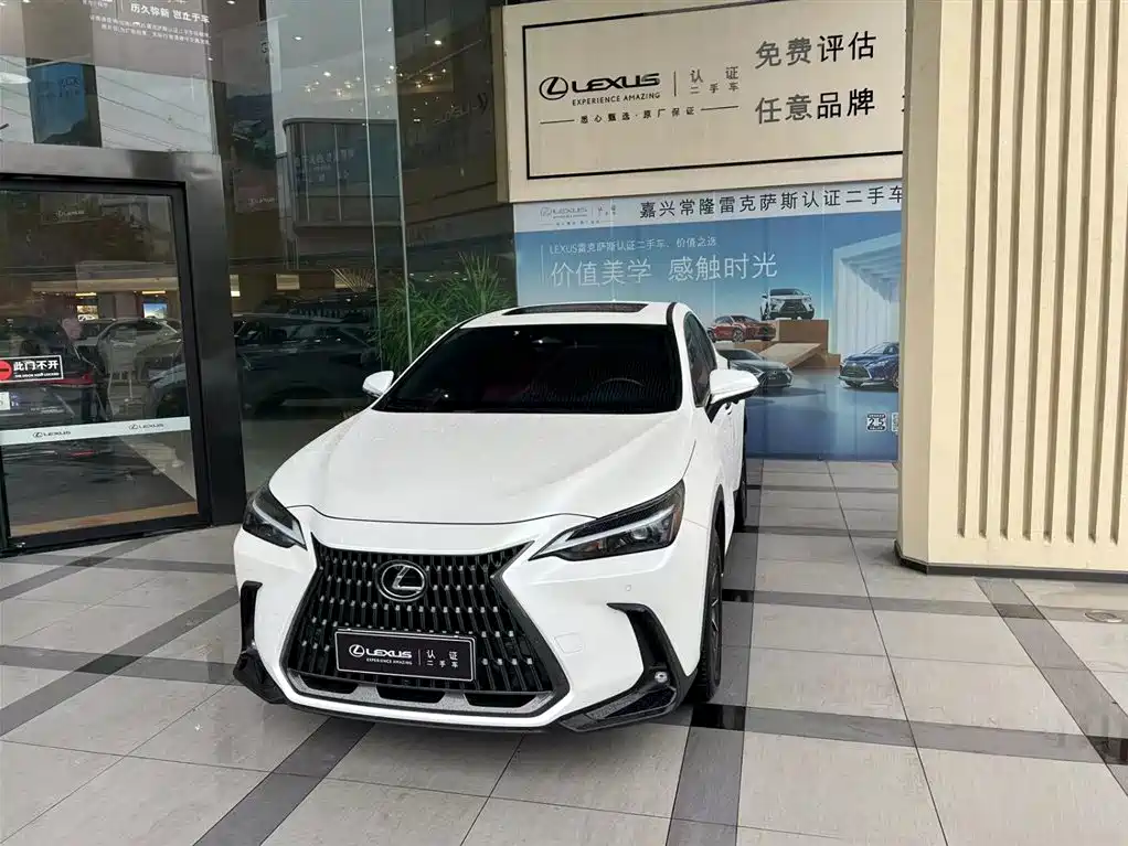 Lexus NX New Energy