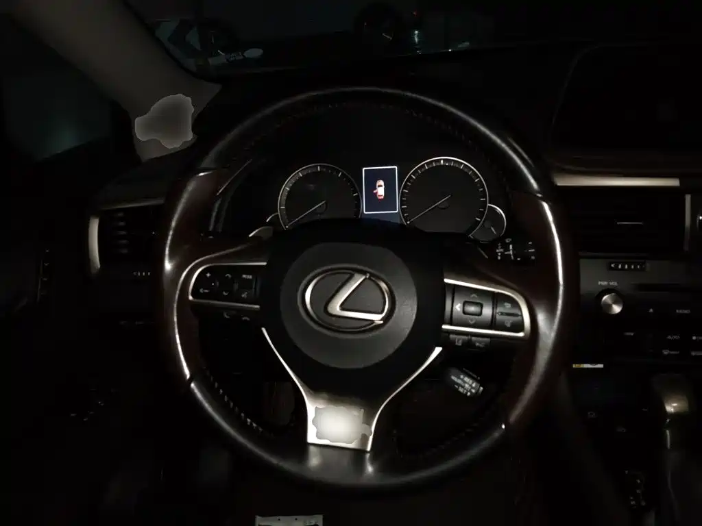 Lexus RX — фото 11