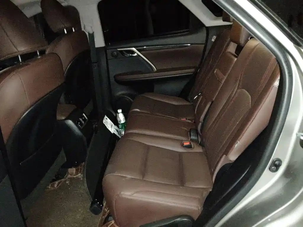 Lexus RX — фото 18