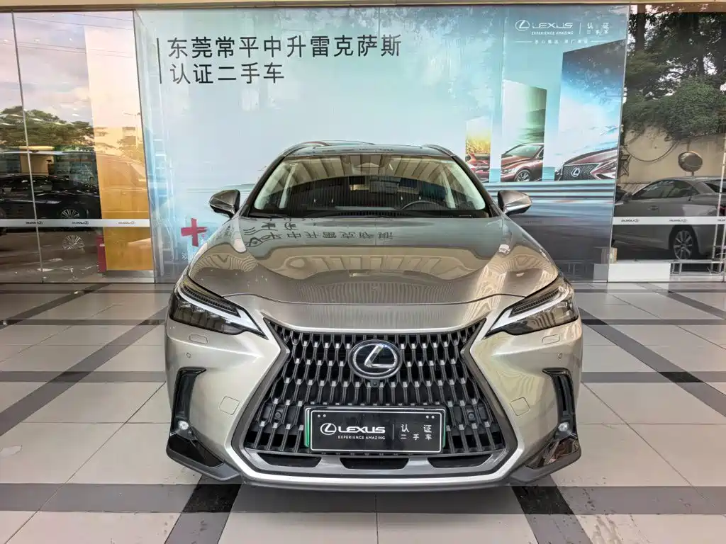 Lexus NX New Energy — фото 2