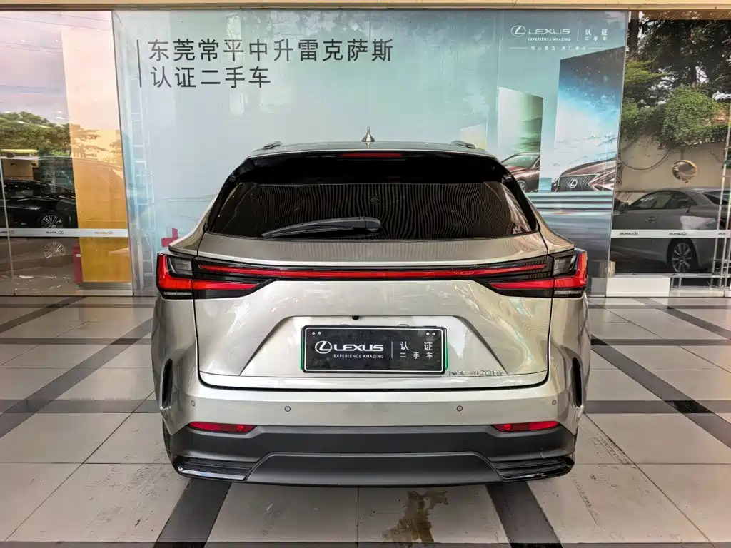 Lexus NX New Energy — фото 3