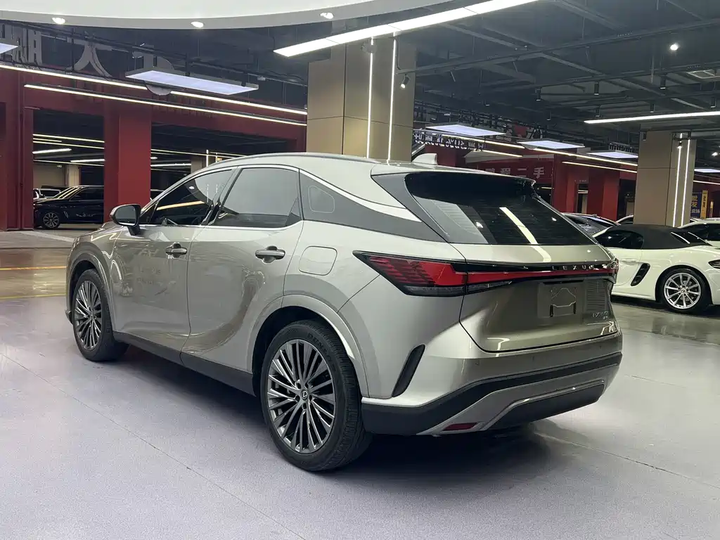 Lexus RX — фото 15