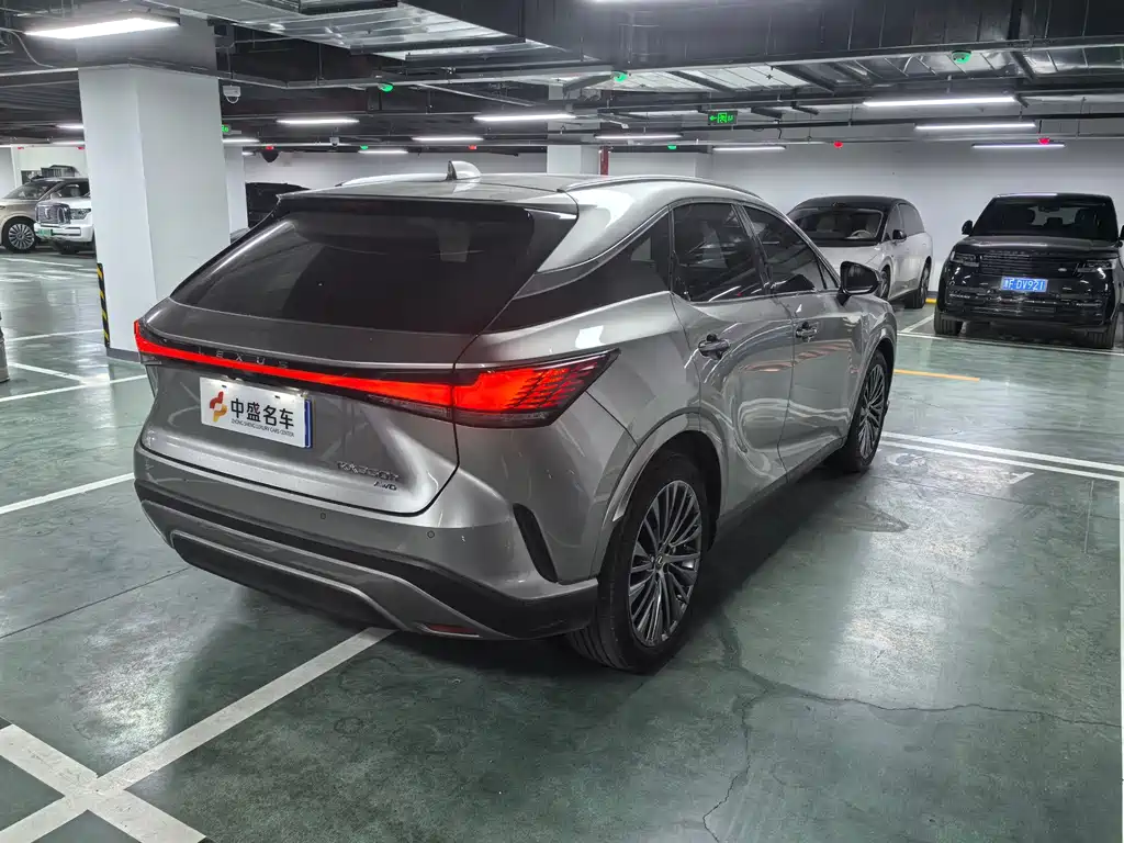 Lexus RX — фото 19