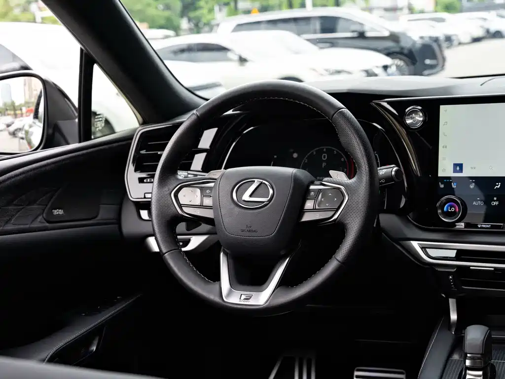 Lexus RX — фото 14