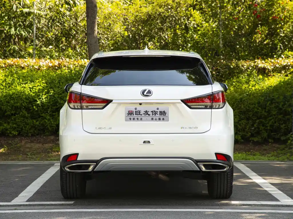Lexus RX — фото 5