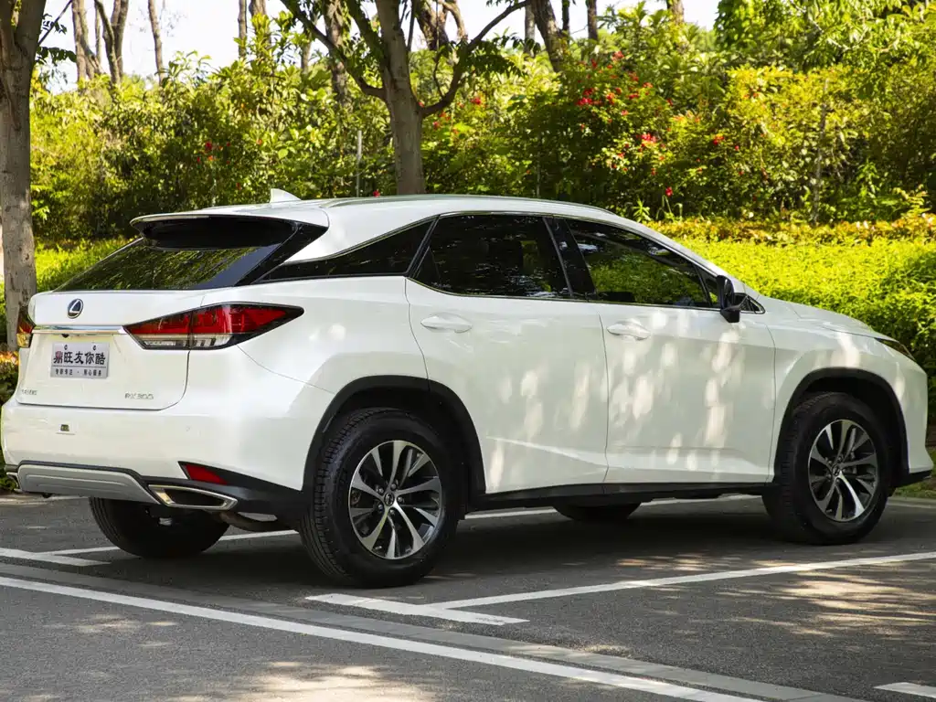 Lexus RX — фото 6