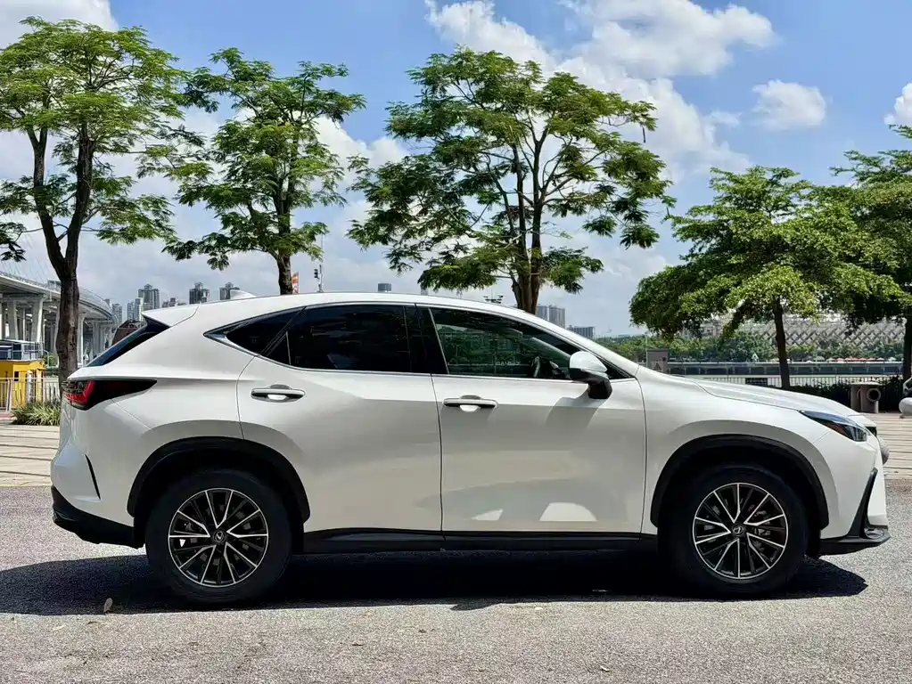 Lexus NX — фото 4
