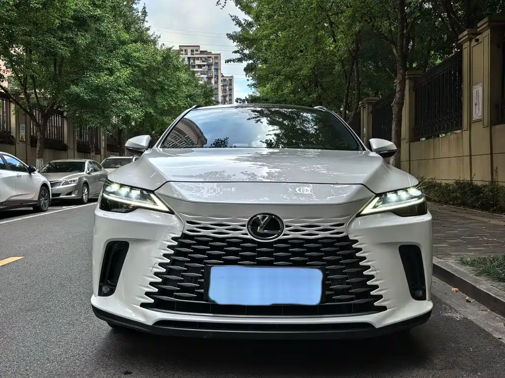 Lexus RX New Energy — фото 2