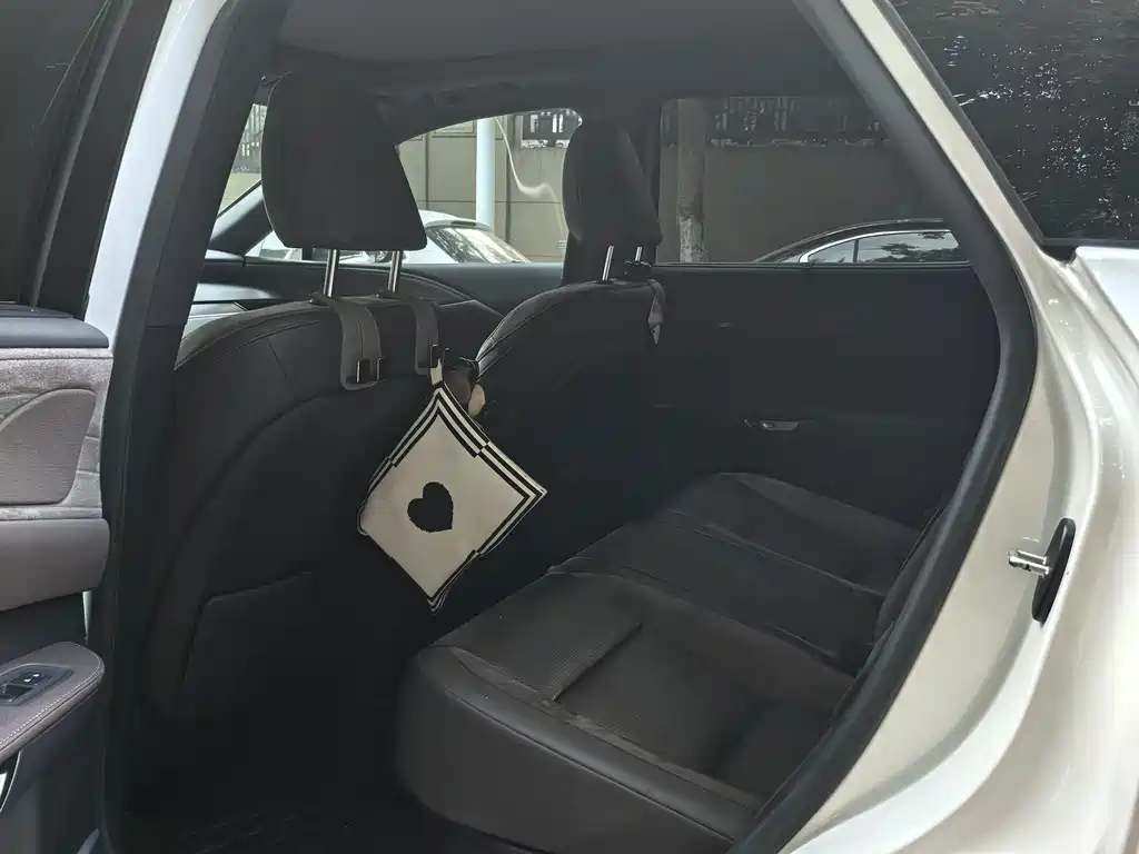 Lexus RX New Energy — фото 6