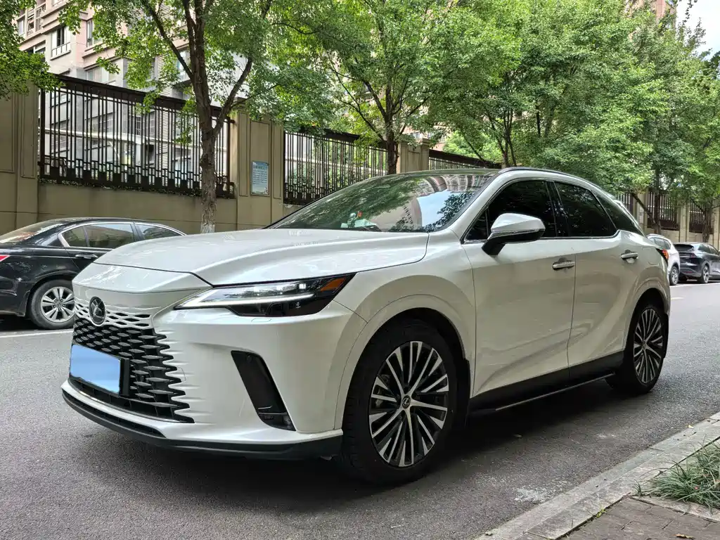 Lexus RX New Energy