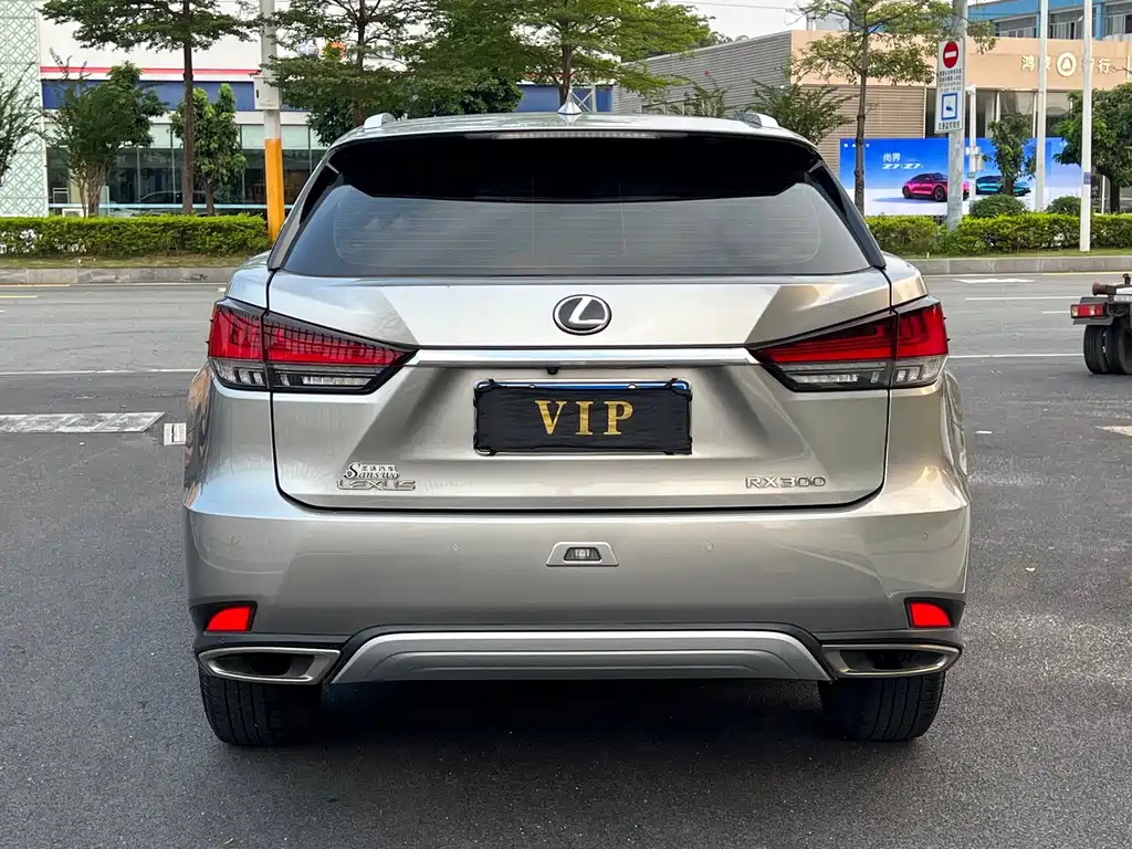 Lexus RX — фото 13