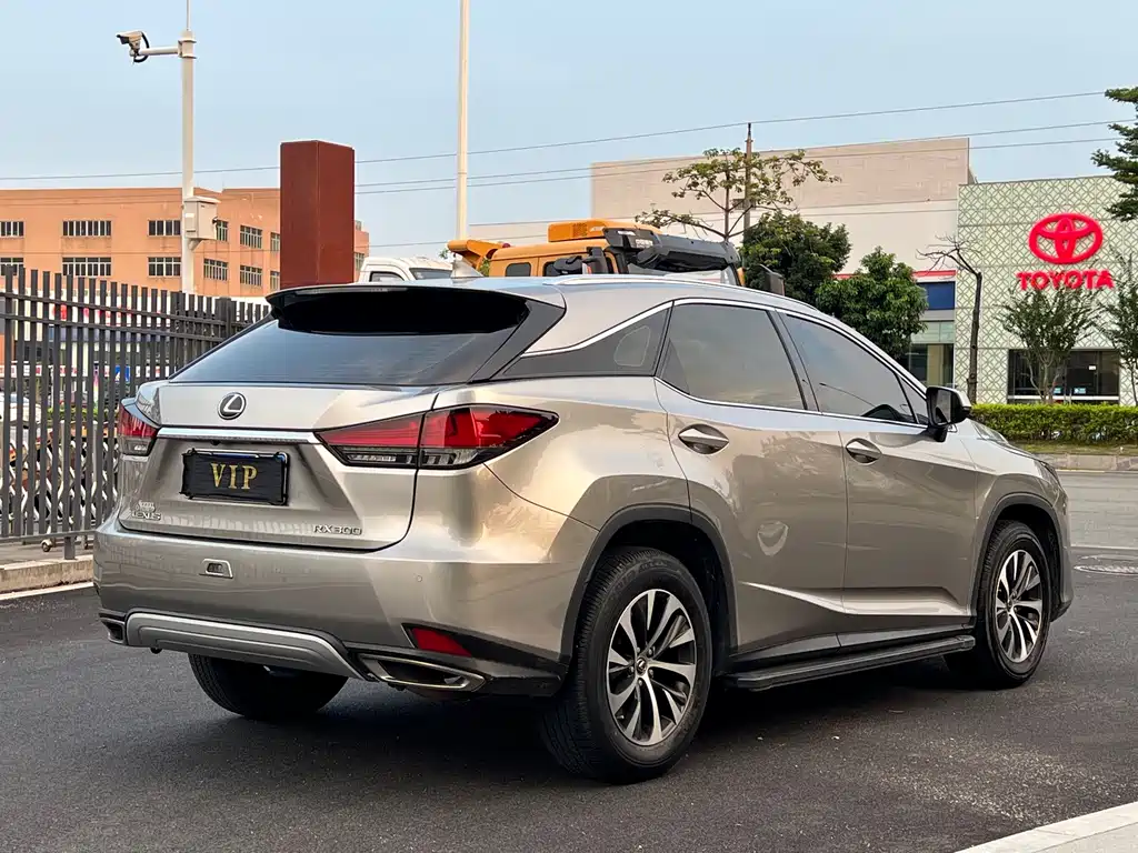 Lexus RX — фото 14