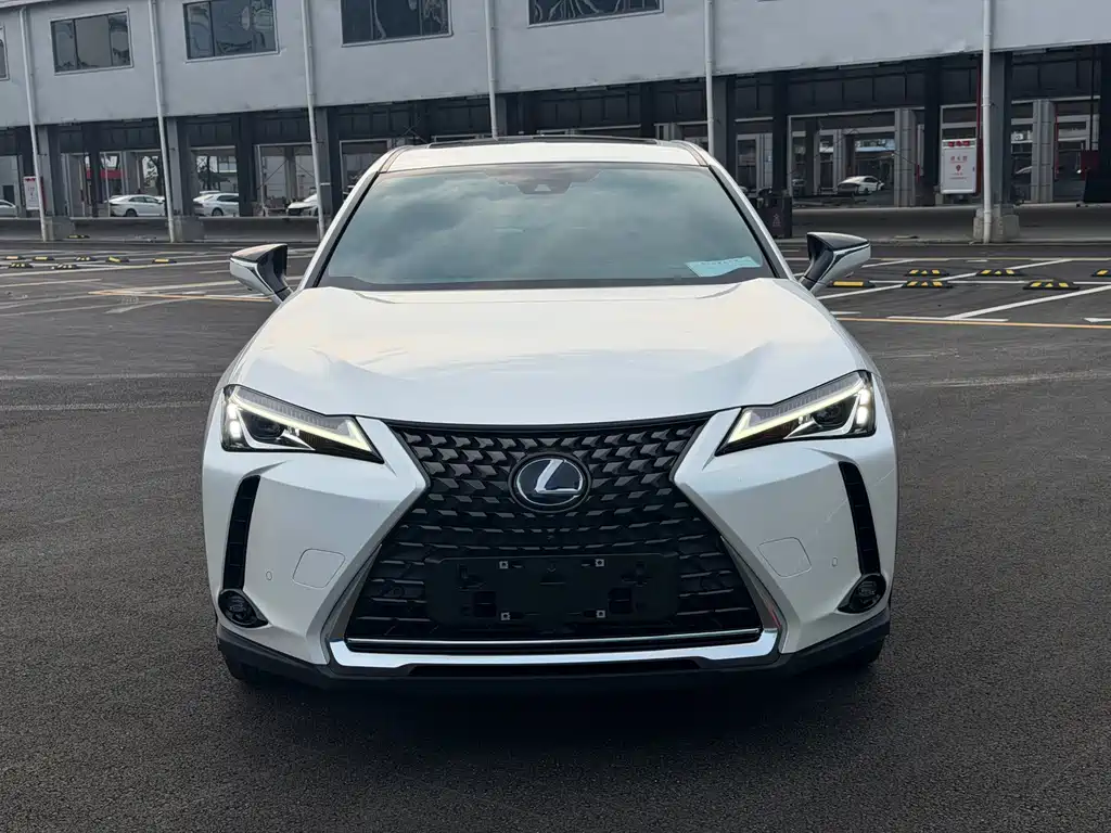 Lexus UX New Energy — фото 2