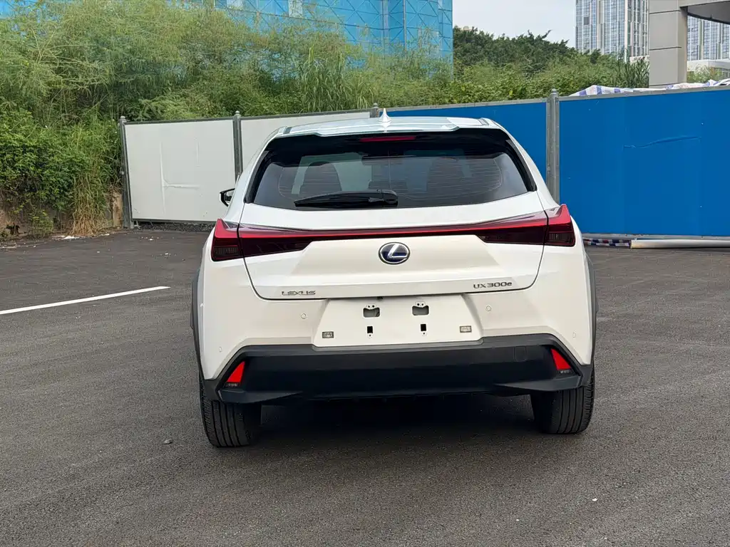 Lexus UX New Energy — фото 11