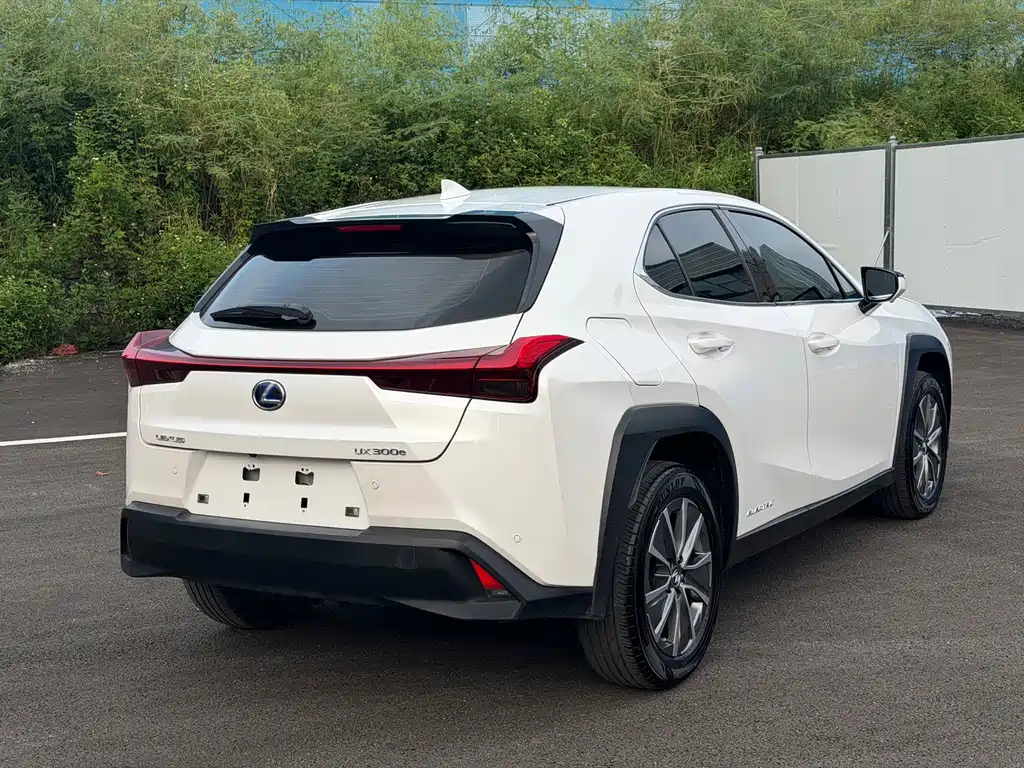 Lexus UX New Energy — фото 13