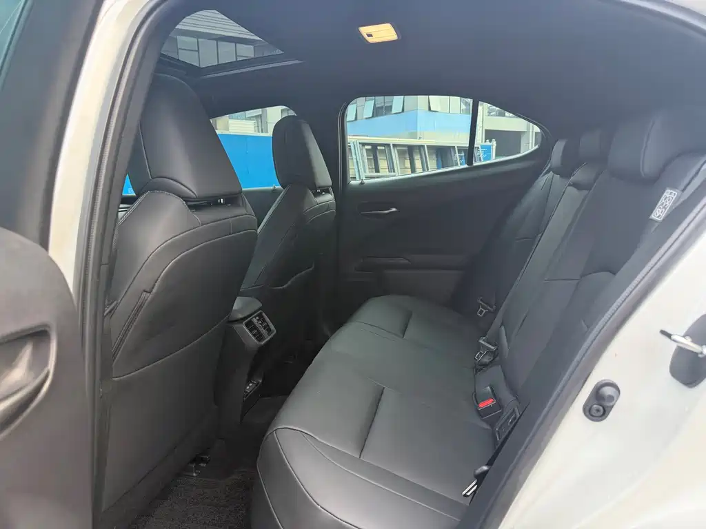 Lexus UX New Energy — фото 5