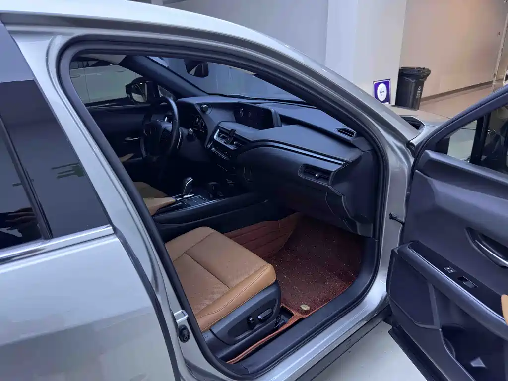 Lexus UX New Energy — фото 11