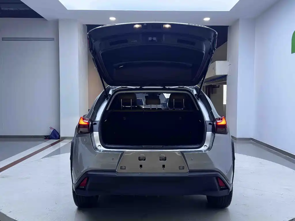 Lexus UX New Energy — фото 19