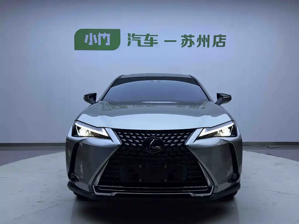 Lexus UX New Energy — фото 3